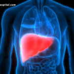 Key-Liver-Functions-And-Ways-To-Support-Them