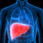 Key-Liver-Functions-And-Ways-To-Support-Them