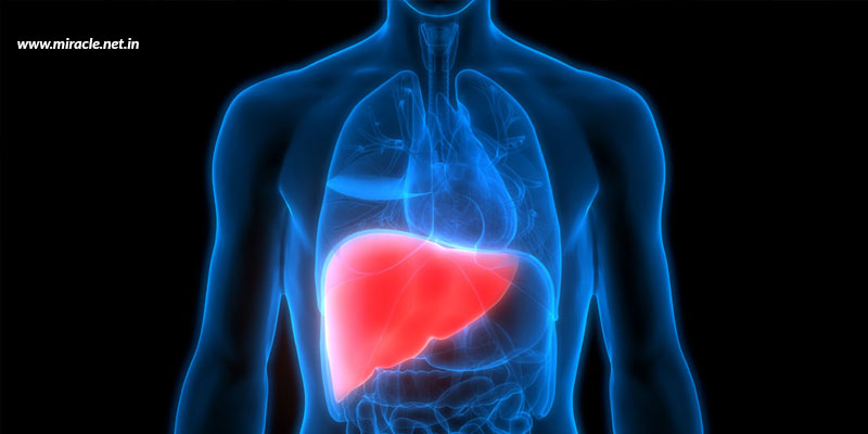 Key-Liver-Functions-And-Ways-To-Support-Them