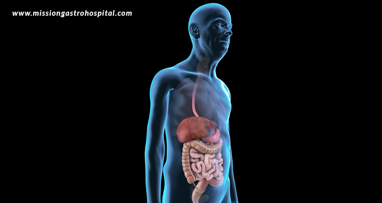 The-Impact-Of-Aging-On-Digestive-Health