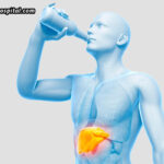 Unmasking-The-Impact-Of-Alcohol-On-The-Liver