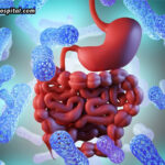 The-Role-Of-The-Gut-Microbiome-In-Overall-Health