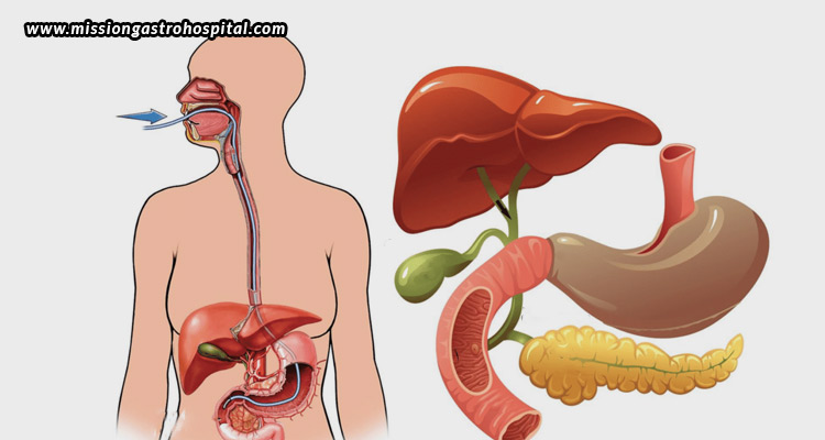 Is-ERCP-For-You-Discussing-The-Benefits-And-Risks-Involved