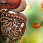 How-Everyday-Choices-Impact-Colon-Health