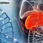 Genetic-Liver-Disorders-When-Should-You-Consider-Testing