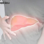 Men-&-Fatty-Liver-Disease-A-Growing-Health-Issue