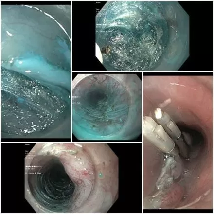 gastrologist near me